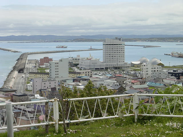 稚内さくら１０