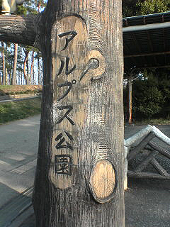 長野福島の桜１