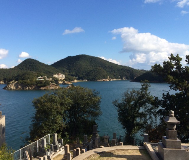 鞆の浦ねこ３３