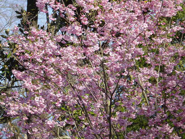 鹿児島宮崎３０