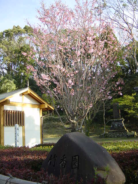 鹿児島宮崎１３