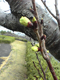 鹿児島宮崎２０