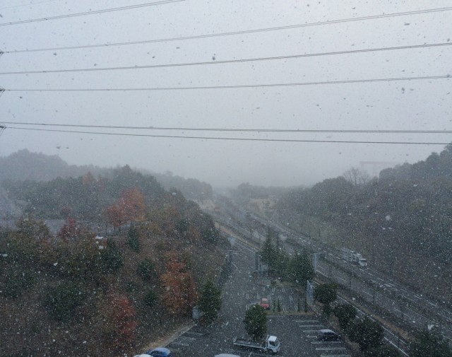 広島市２０１５１１－１