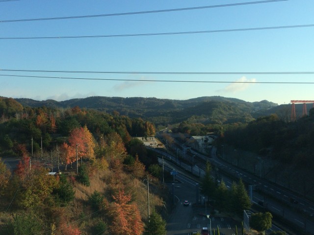 広島市２０１５１１－２