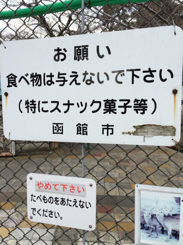 函館公園－１０