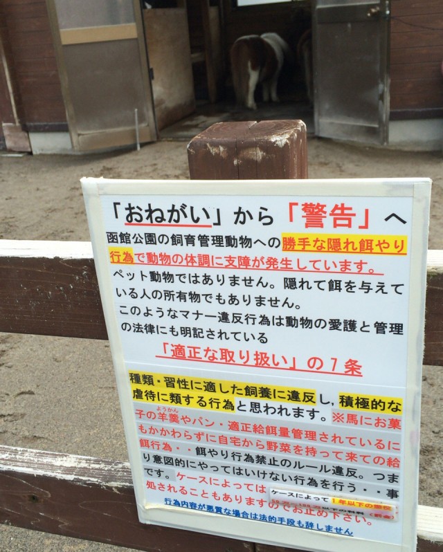 函館公園－１６