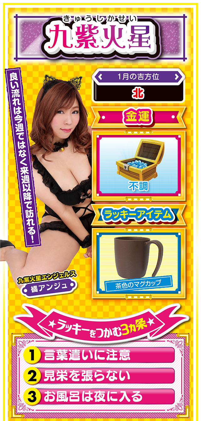 九紫火星占い結果