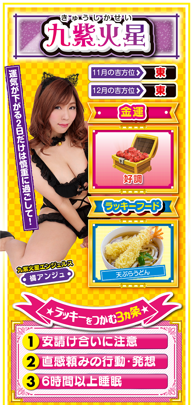 九紫火星占い結果