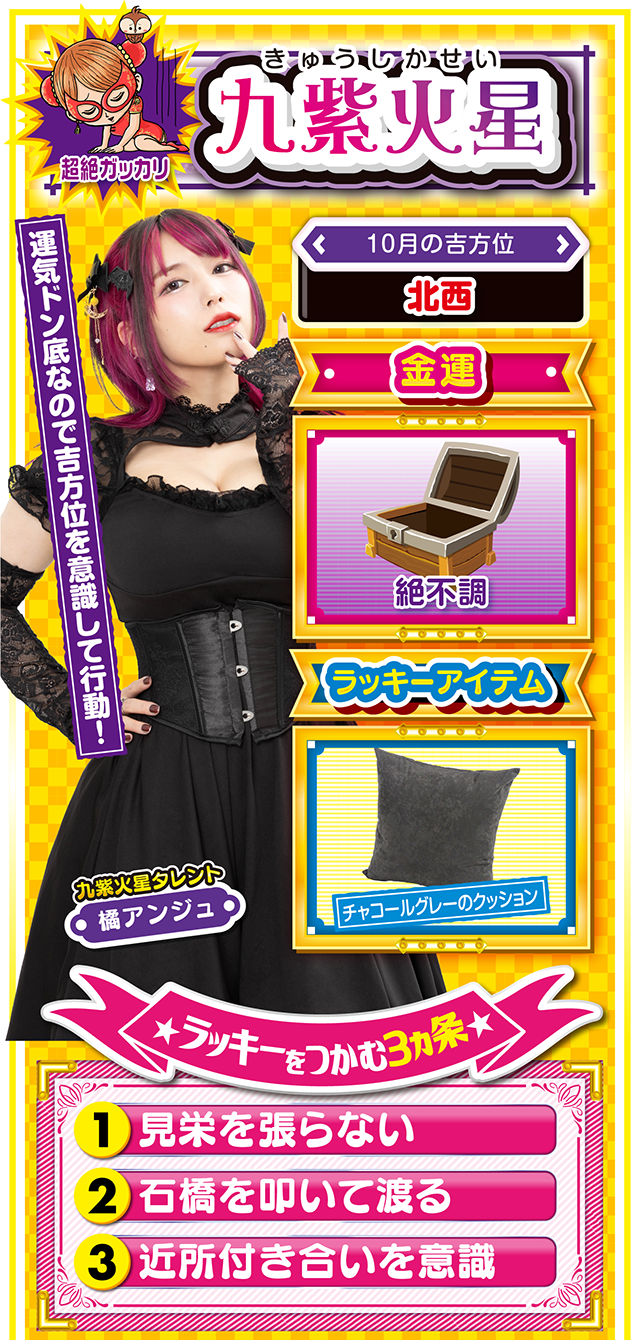 九紫火星占い結果