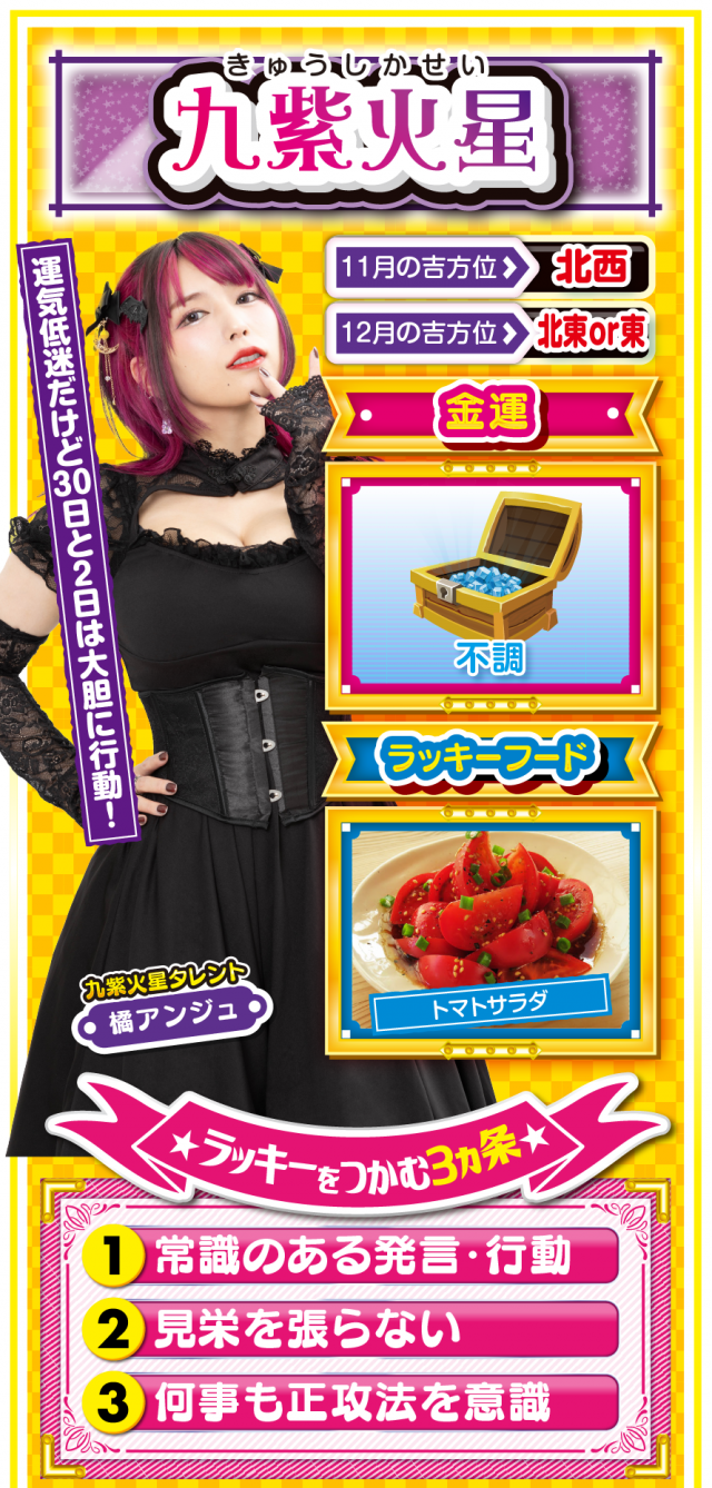 九紫火星占い結果