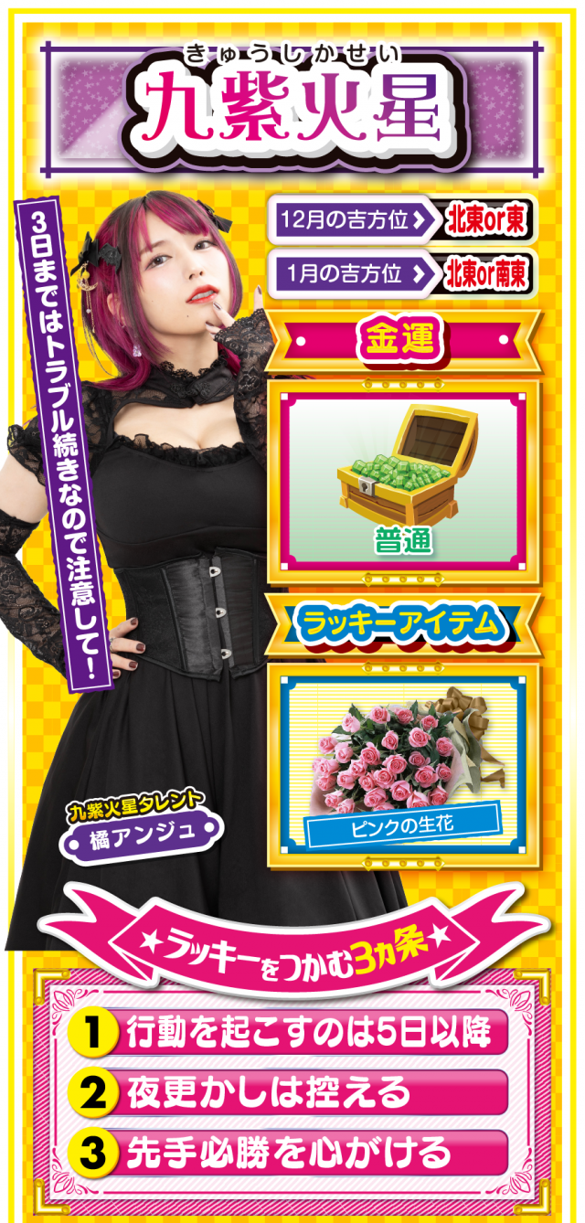 九紫火星占い結果