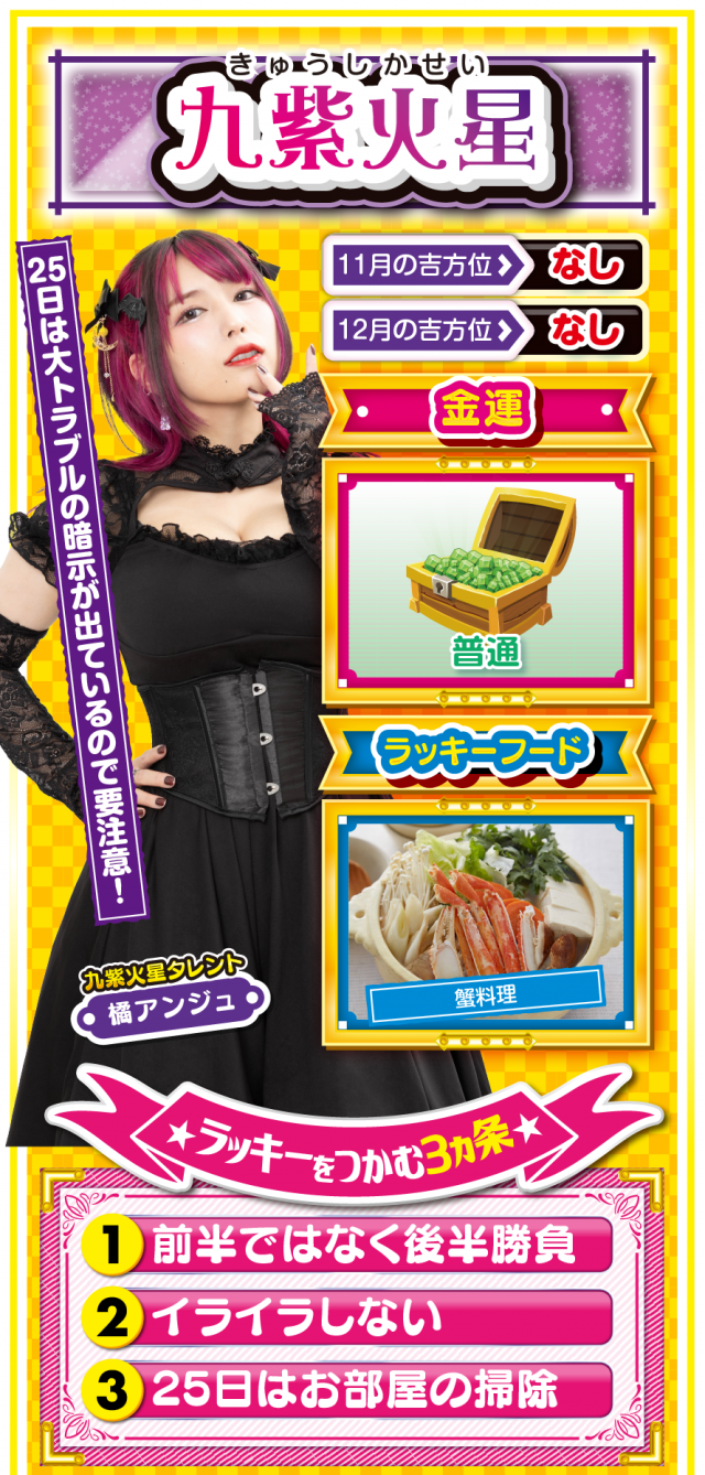 九紫火星占い結果