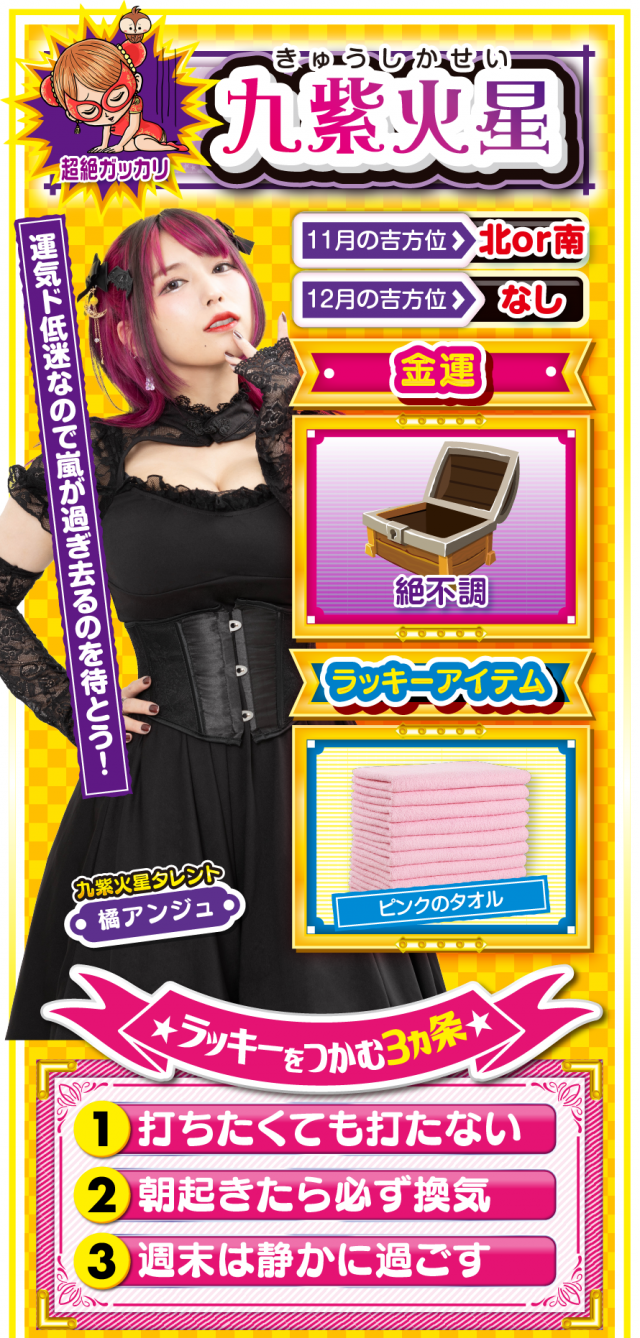 九紫火星占い結果